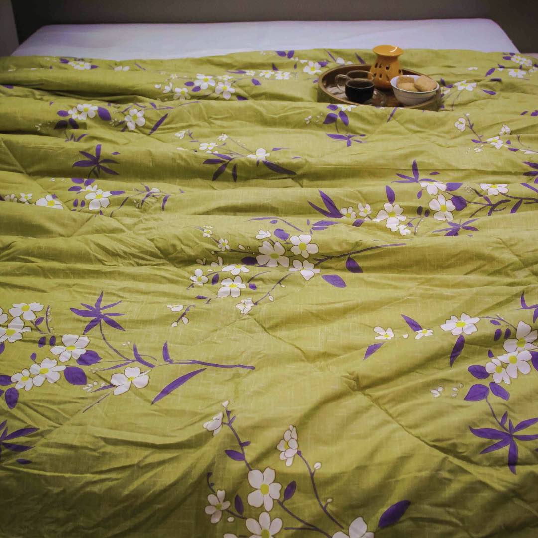Green Apple | Double Bed Cotton Quilt | Cosy & Fluffy - Harsh Foundation India